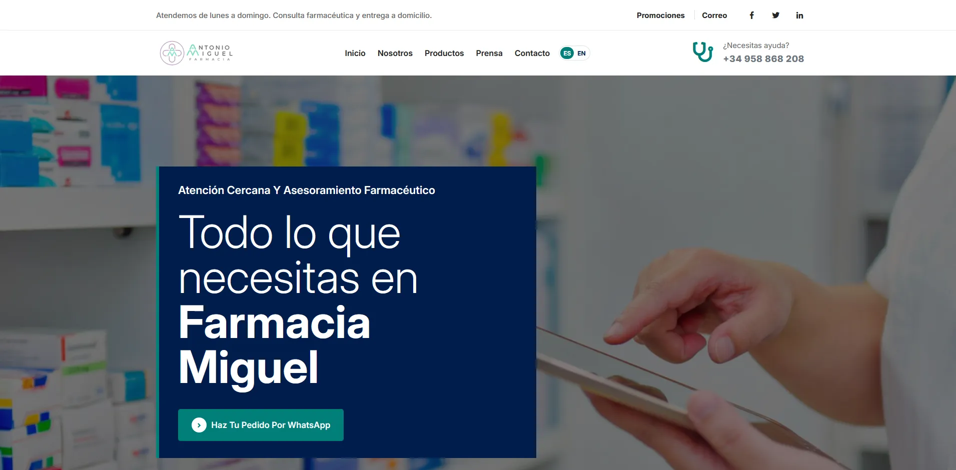 Captura del proyecto Farmacia Antonio Miguel