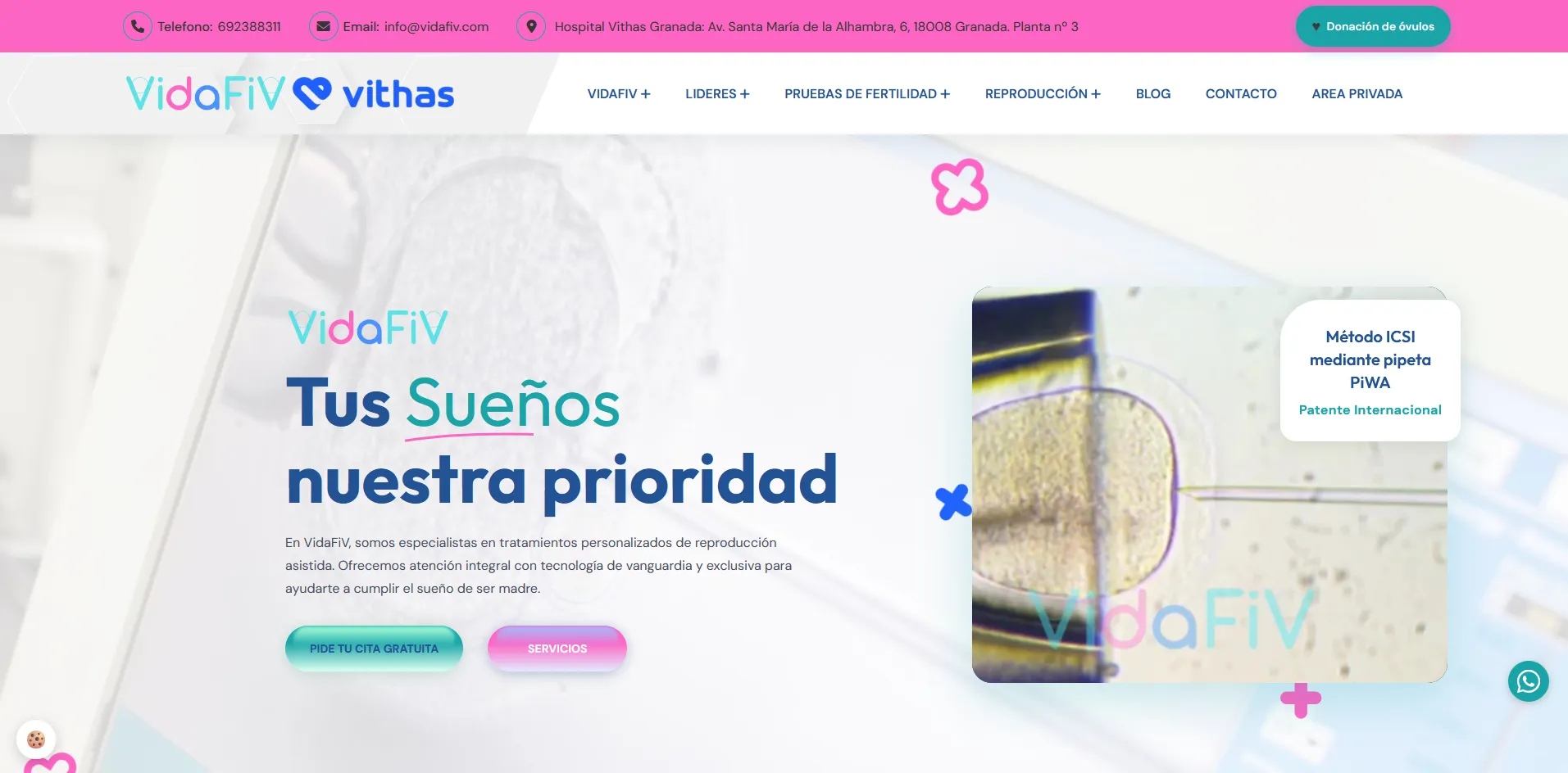 Captura del proyecto Vidafiv